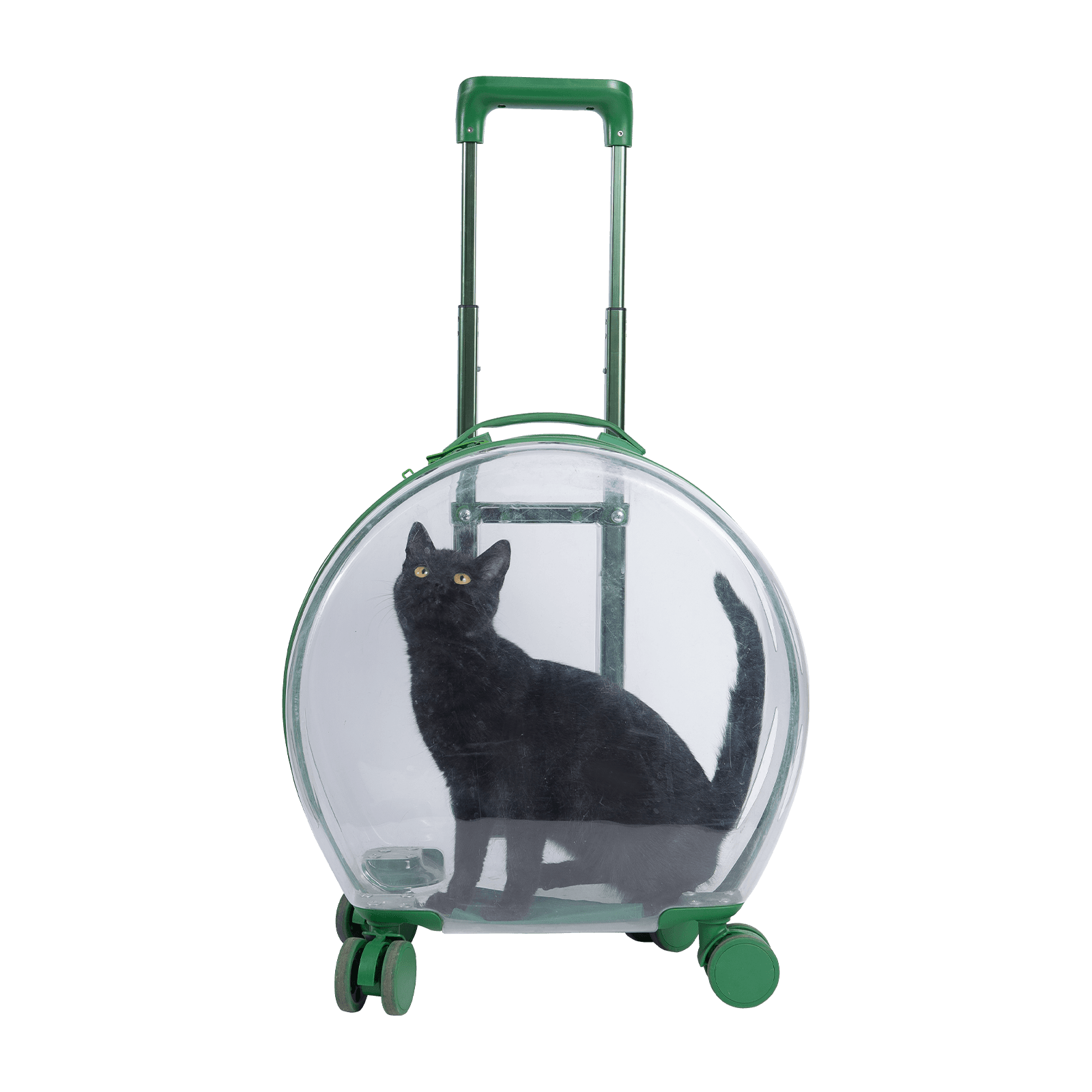 PC Trolley Pet Carrier Bagagem Transparente Saco Exterior de Alta Qualidade