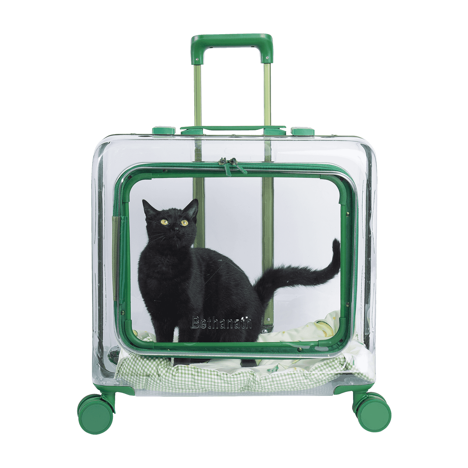 Bolsa de transporte para animais de estimação: um assistente portátil de viagem para animais de estimação